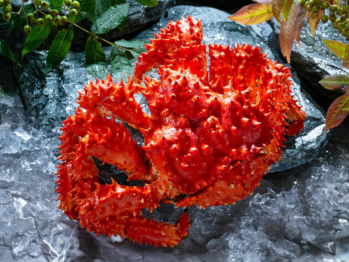 茹で上げ花咲ガニ