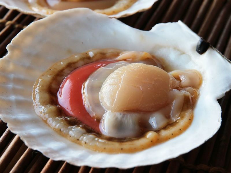 16250円 セール商品 船上活〆時しらず 3kg-3.5kg 生時鮭 北海道 広尾産 16250円 セール商品 船上活〆時しらず 3kg-3.5kg 生時鮭 北海道 広尾産