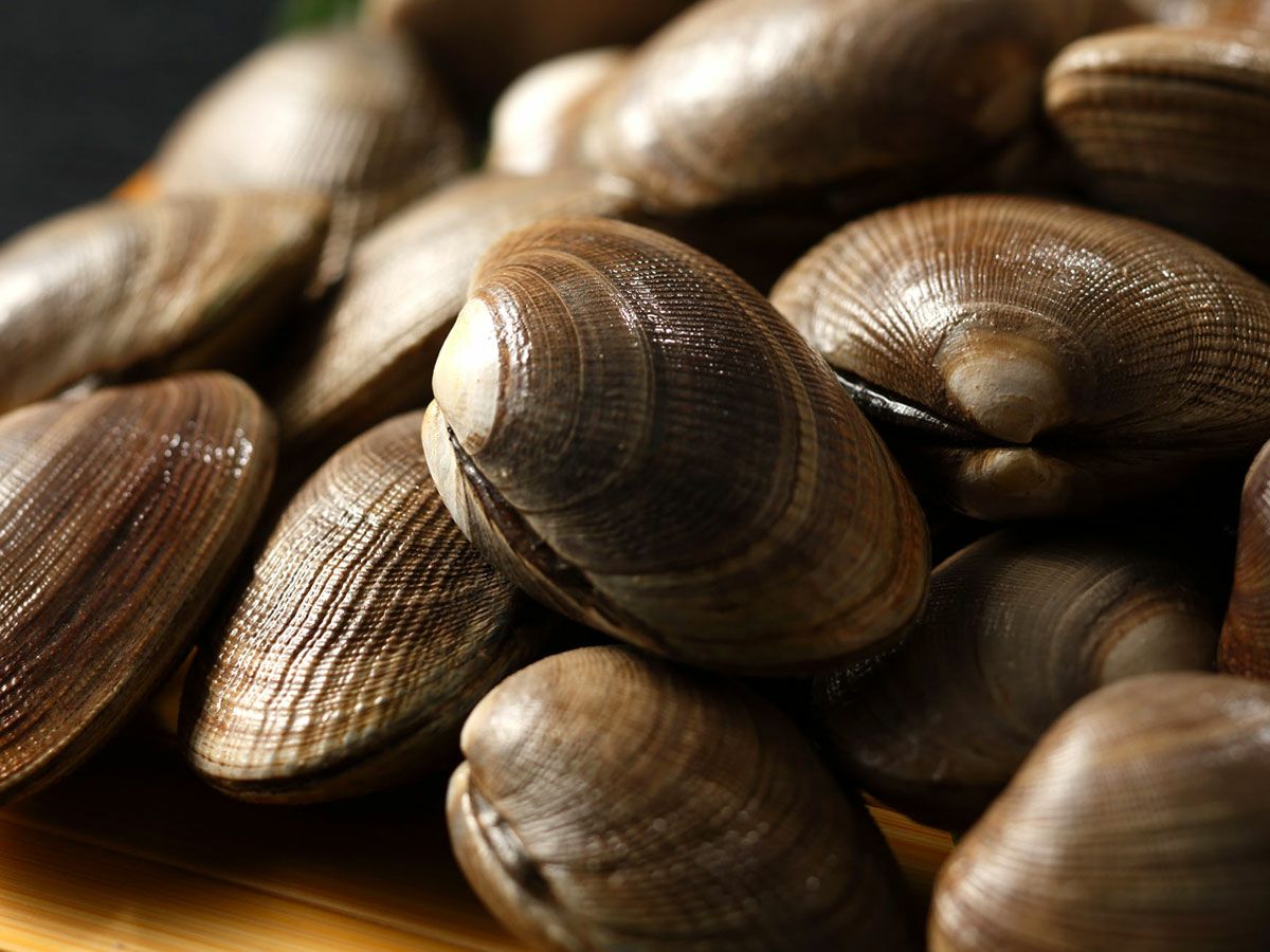  根室産天然大あさり 